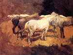 Horses at Palma , 1908	
Art Reproductions