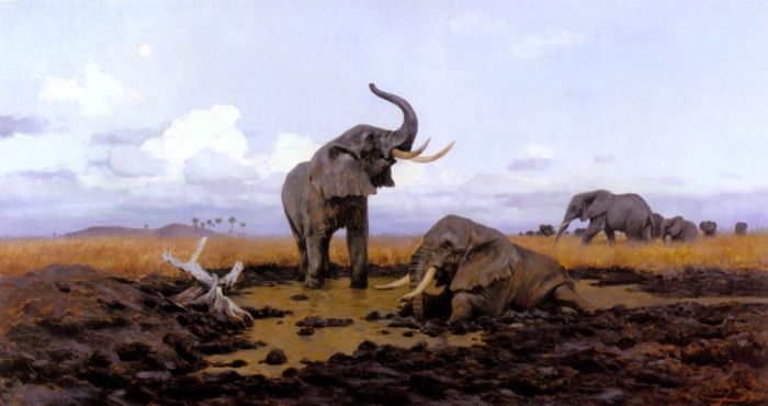 In The Twilight, Elephants

Painting Reproductions
