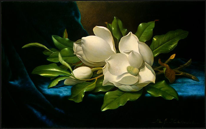Giant Magnolias on a Blue Velvet Cloth, c.1890

Painting Reproductions