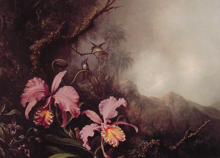 Paintings Heade, Martin Johnson