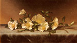 Cherokee Roses On A Light Gray Cloth
Art Reproductions