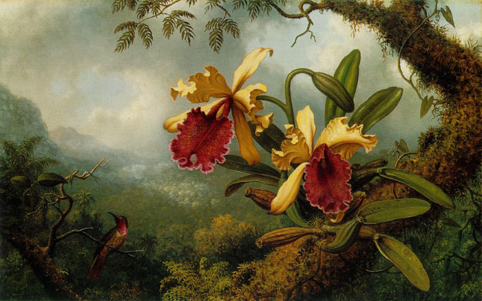 Paintings Heade, Martin Johnson