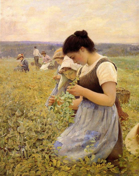 Women in the Fields

Painting Reproductions