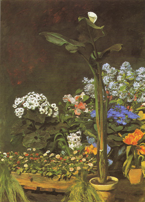 Arum and Conservatory Plants, 1864

Painting Reproductions