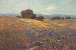 Poppies and Lupines
Art Reproductions