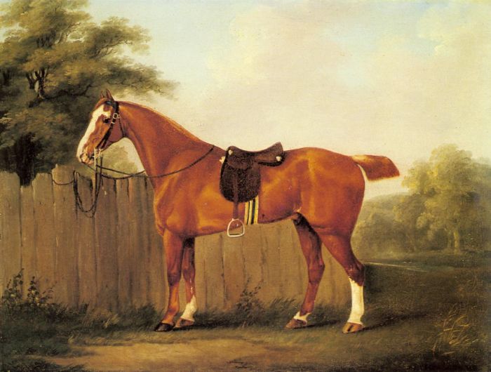 A Chestnut Hunter Tethered to a Fence, 1779

Painting Reproductions