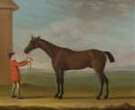 Mr Jenison Shaftos bay racehorse Goldfinder , 1770
Art Reproductions