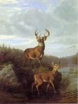 Untitled, 1878
Art Reproductions