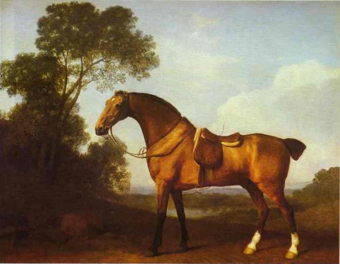 A Saddled Bay Hunter, 1768

Painting Reproductions