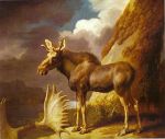 The Moose, 1770
Art Reproductions