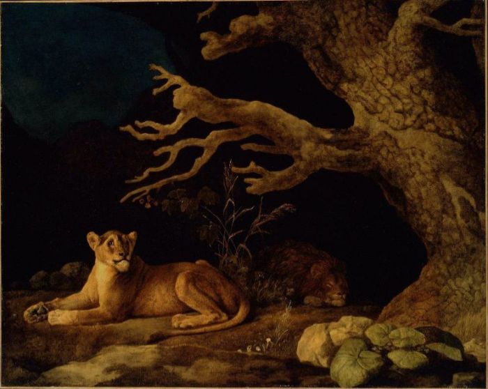 Lion and Lioness, 1771

Painting Reproductions