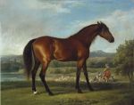 Hollyhock, 1765
Art Reproductions