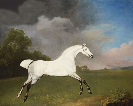 A grey horse, 1793

Painting Reproductions