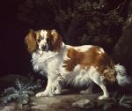 King Charles Spaniel, 1776
Art Reproductions
