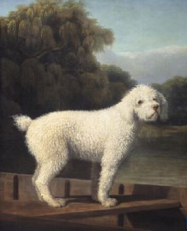 White Poodle in a Punt, 1780

Painting Reproductions