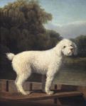 White Poodle in a Punt, 1780
Art Reproductions