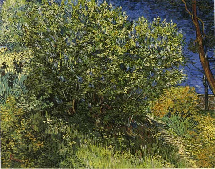 Lilac Bush, 1889

Painting Reproductions