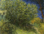 Lilac Bush, 1889
Art Reproductions