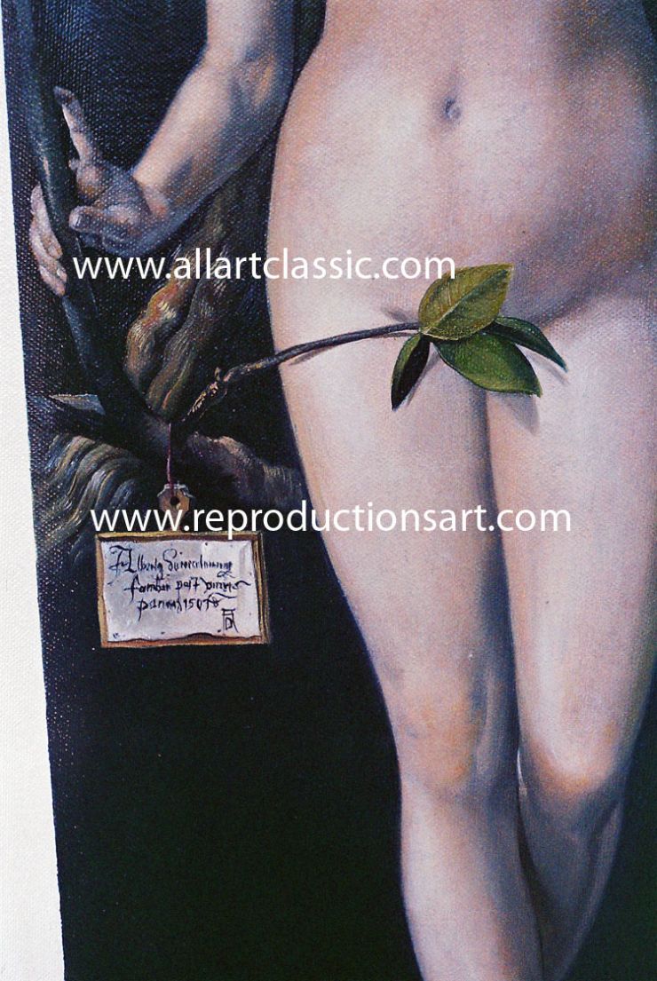 Albrecht-Durer-Eve_01_B Reproductions Painting-Zoom Details