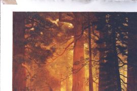 Oil Paintings Reproductions Albert Bierstadt Paintings