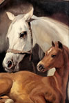 Oil Paintings Reproductions Landseer, Sir Edwin Henry