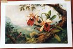 Heade Paintings Reproductions