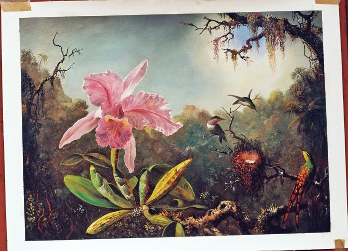 Martin Johnson Heade Paintings