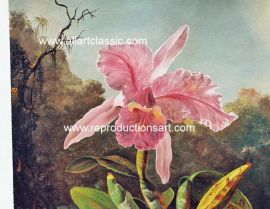 Oil Paintings Reproductions Martin Johnson Heade Paintings