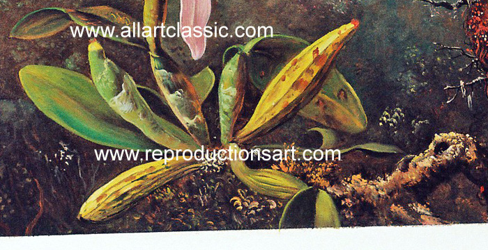 Martin_Johnson_Heade_001N_C Reproductions Painting-Zoom Details