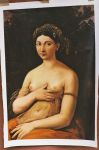 Raphael  Paintings Reproductions