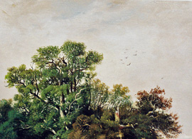 Oil Paintings Reproductions Ivan Shishkin