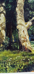  Shishkin Paintings Reproductions