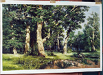 Shishkin Paintings Reproductions