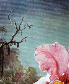 Oil Paintings Reproductions Martin Johnson Heade